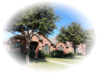 Tree Service Frisco, Texas